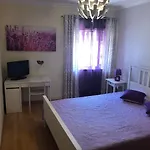 Montenegro Dreams